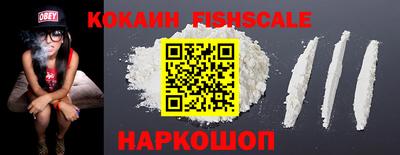 дмт Кингисепп
