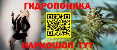 дмт Кингисепп