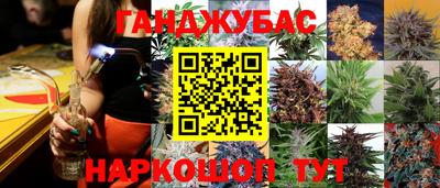 дмт Кингисепп