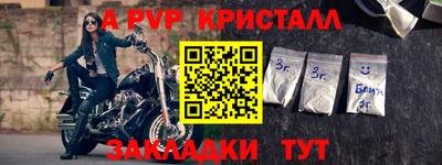 дмт Кингисепп