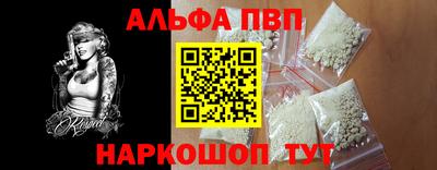 дмт Кингисепп